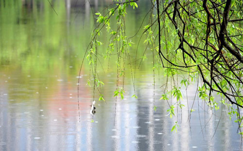 雨中的精密鑄造-——-蘇博卡捷新材料在雨季的應用實踐.jpg